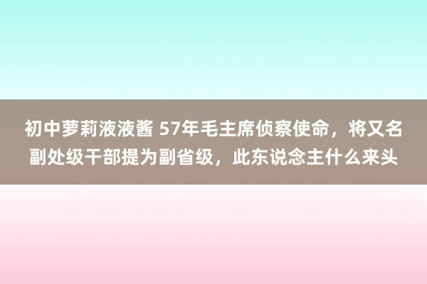 初中萝莉液液酱 57年毛主席侦察使命，将又名副处级干部提为副省级，此东说念主什么来头