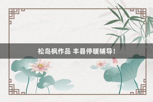 松岛枫作品 丰县停暖辅导！
