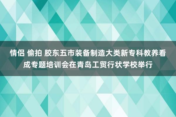 情侣 偷拍 胶东五市装备制造大类新专科教养看成专题培训会在青岛工贸行状学校举行