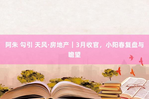 阿朱 勾引 天风·房地产｜3月收官，小阳春复盘与瞻望