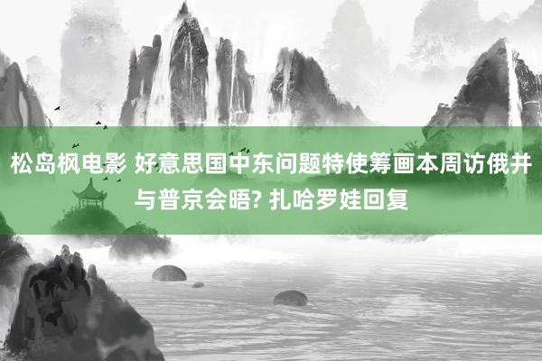 松岛枫电影 好意思国中东问题特使筹画本周访俄并与普京会晤? 扎哈罗娃回复