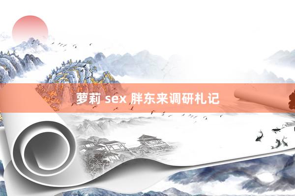 萝莉 sex 胖东来调研札记
