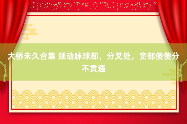 大桥未久合集 颈动脉球部，分叉处，窦部傻傻分不贯通