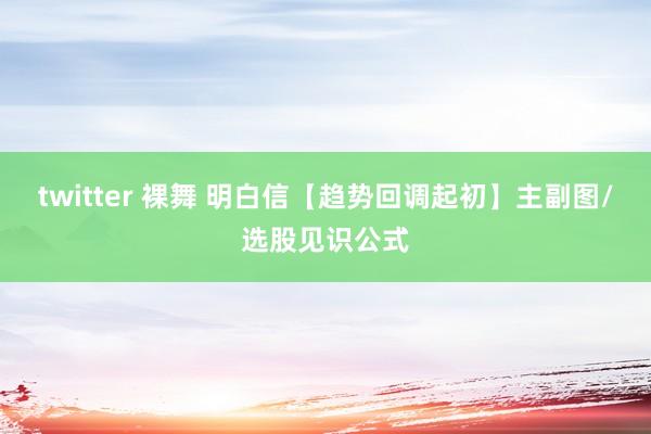 twitter 裸舞 明白信【趋势回调起初】主副图/选股见识公式
